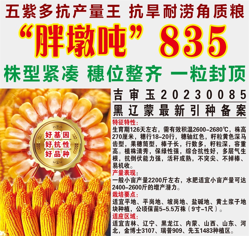胖墩噸835.jpg