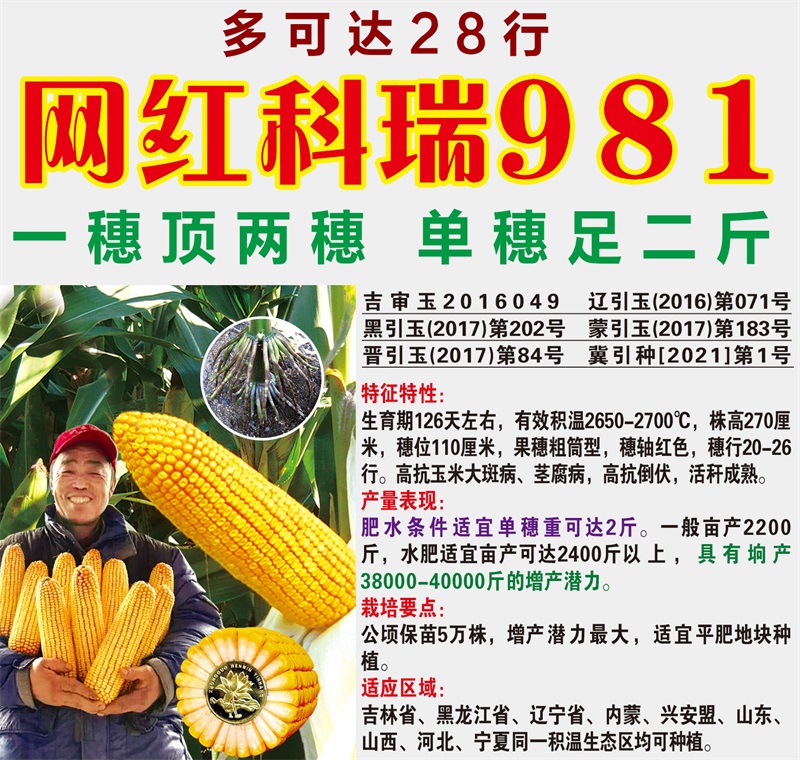 網(wǎng)紅科瑞981.jpg