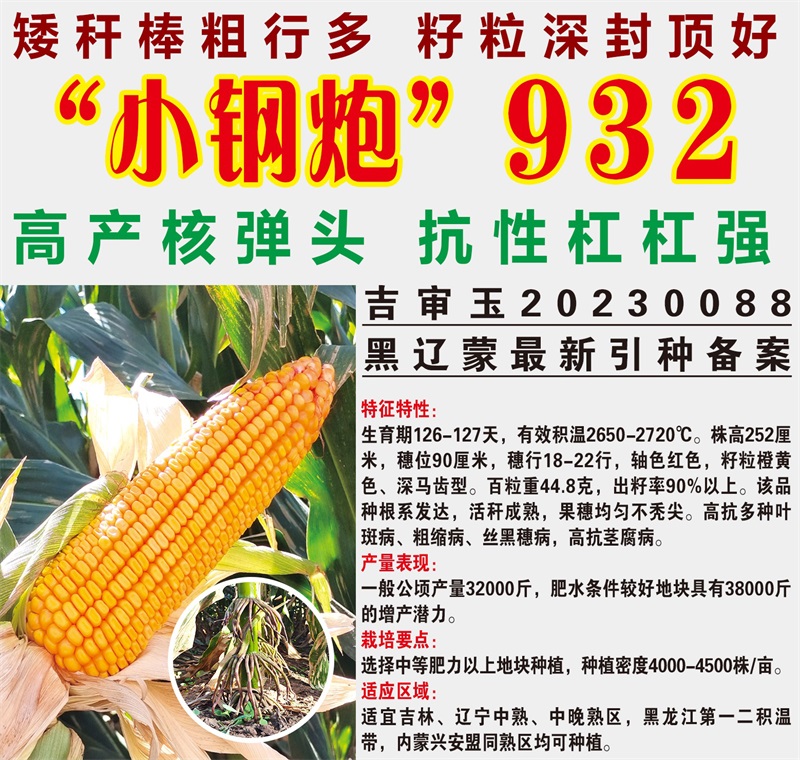 小鋼炮923.jpg